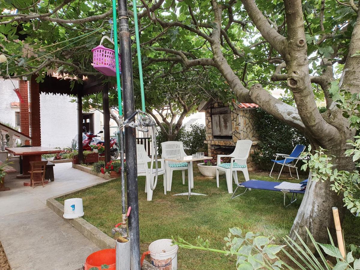Aenona Sunny Apartment Vrsi Dış mekan fotoğraf