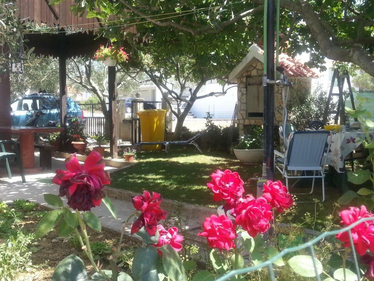 Aenona Sunny Apartment Vrsi Dış mekan fotoğraf